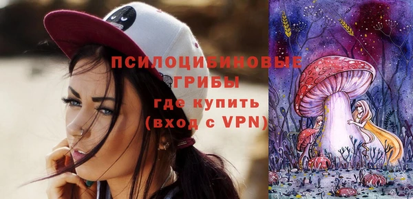 эйфоретик Осинники