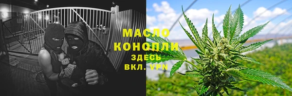 дживик Няндома