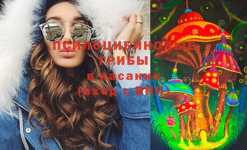 Псилоцибиновые грибы Cubensis Артёмовский